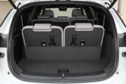 BYD Tang DM-i
