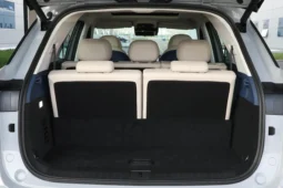 Chery Fulwin T9