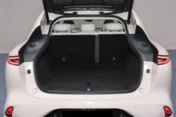 IM Motors LS6