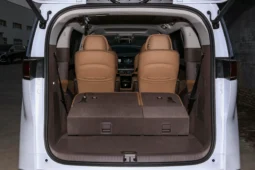 Denza D9 DM-i